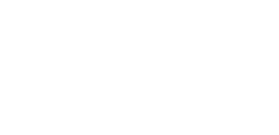 Nordline Transport logo